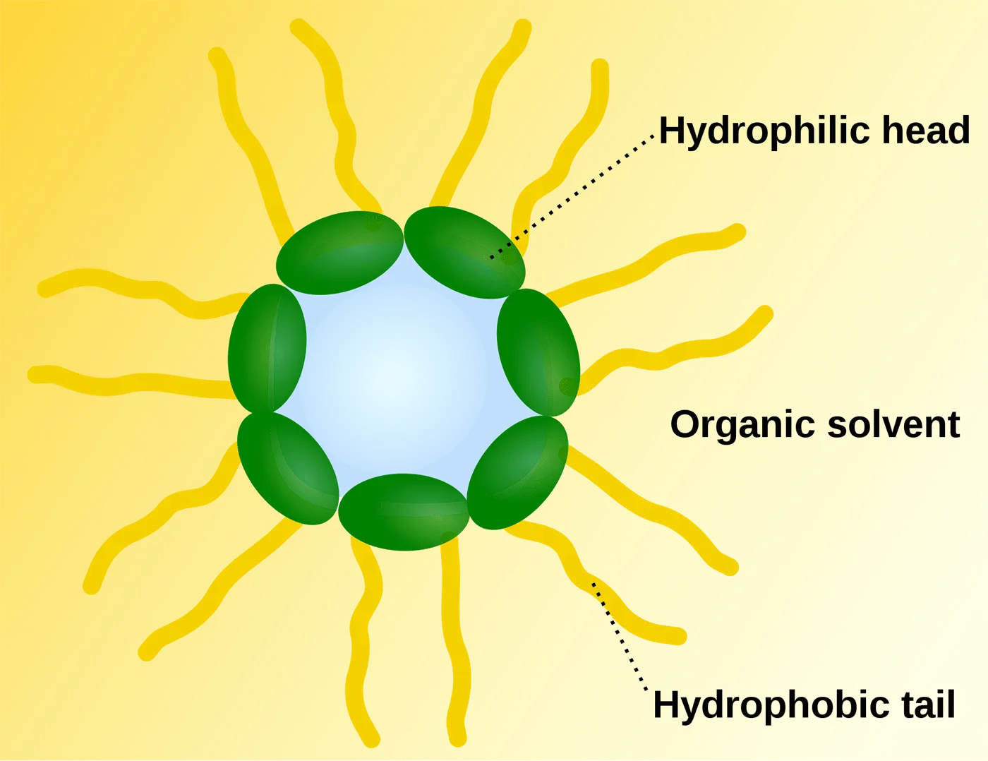 Enhancing Nutrient Absorption: The Power of Reverse Micelle Technique