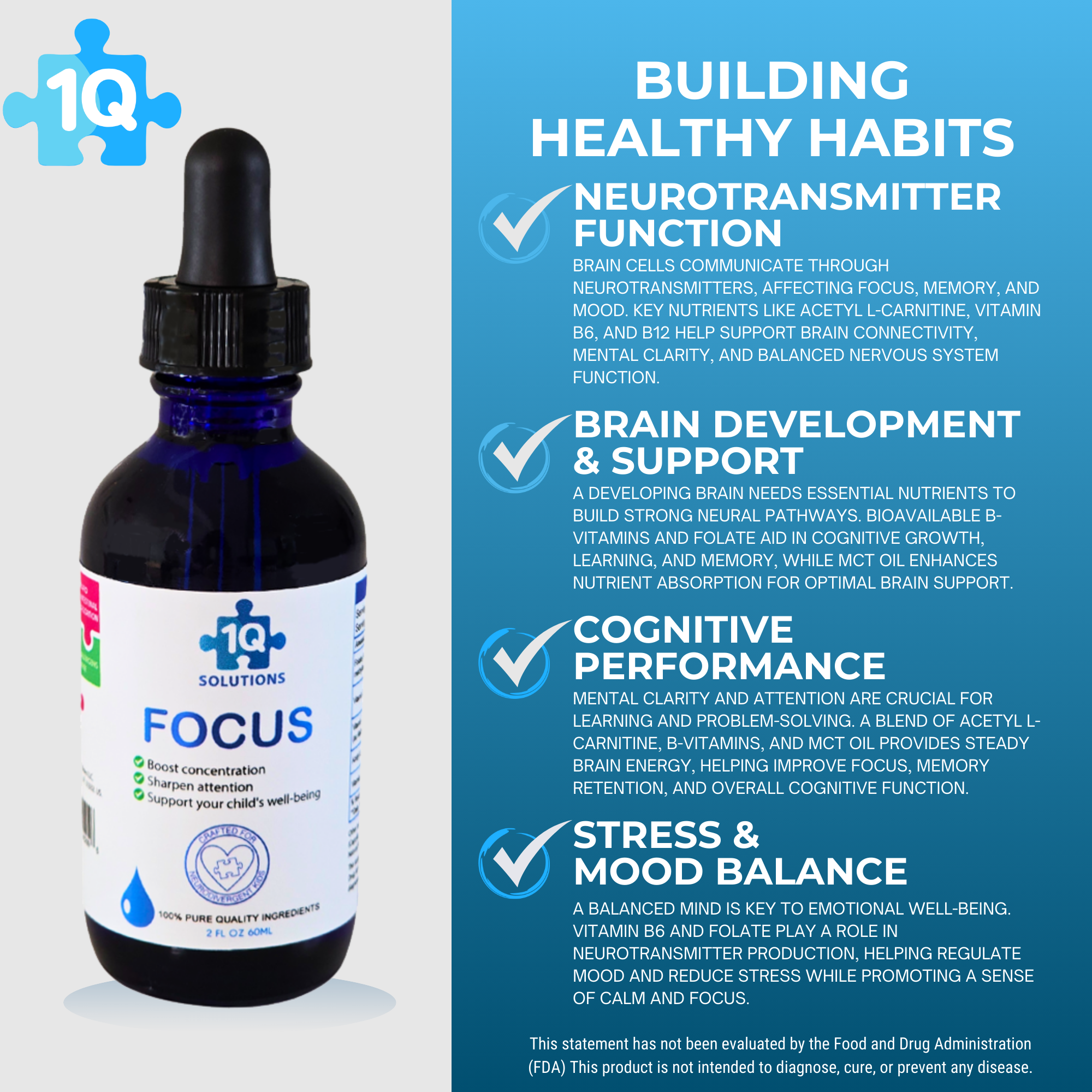 FOCUS 1Q